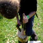 Bushcraftweekend