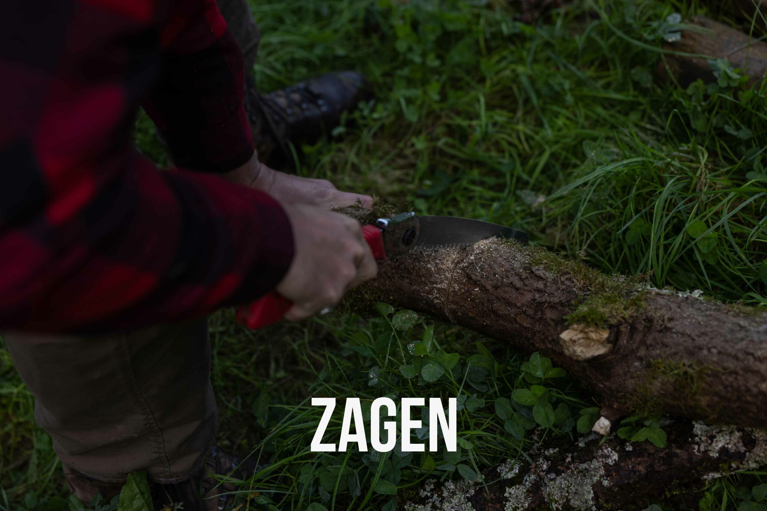 Cat zagen